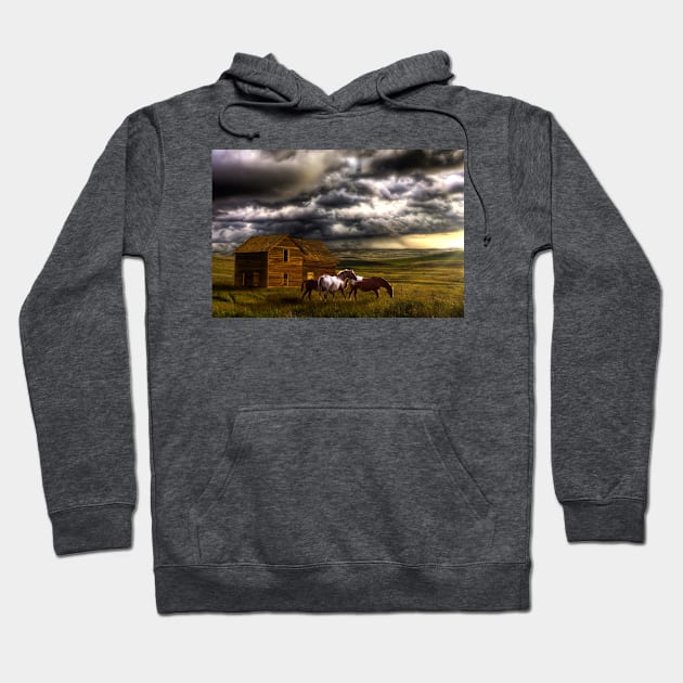 Prairie Storm Hoodie by colorful